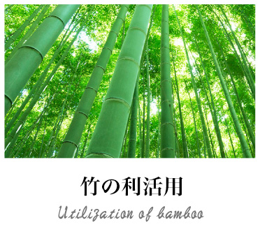 竹の利活用 Utilization of bamboo